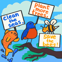 Happy Bee Gifs Get The Best Gif On Giphy Happy Bee Gifs Get The Best Gif On Giphy