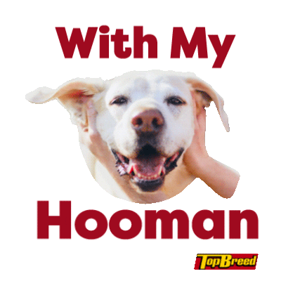 Universal Robina Sticker