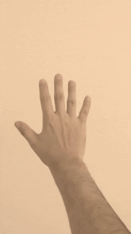 Reflection Hand Gesture GIF