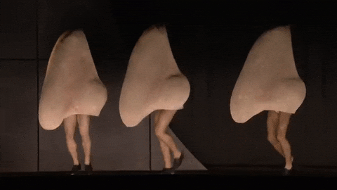 giphy.gif?cid=6c09b952btcdlzwg1inpx3l27kpjlu4mq3mpctkdrrjvnigm&ep=v1_internal_gif_by_id&rid=giphy.gif&ct=g