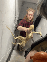 Snake-sticker GIFs - Get the best GIF on GIPHY