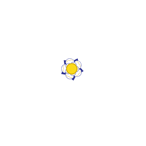 White Rose Leeds Sticker