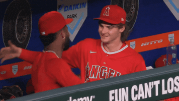 La Angels Halos GIF by Los Angeles Angels