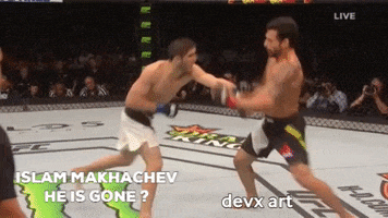 Islam Makhachev Knockout GIF by DevX Art