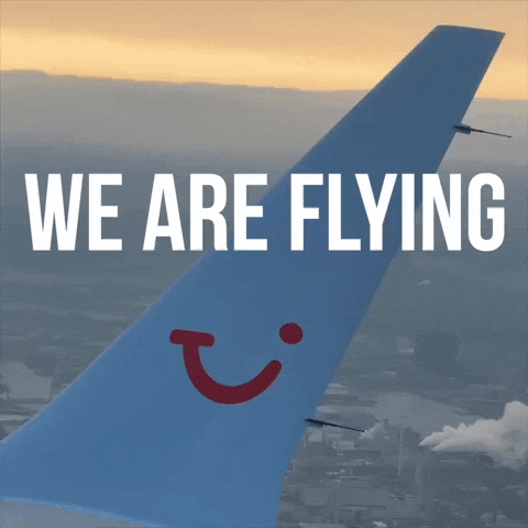 Here We Go Travel GIF