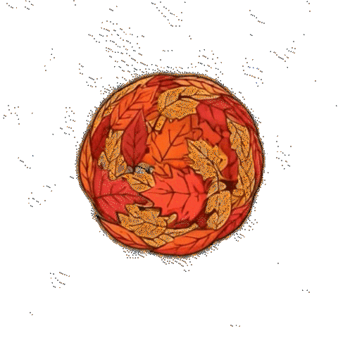 Fall Cooking Sticker by Carrington Farms