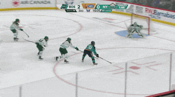 Goalie Frankel GIF