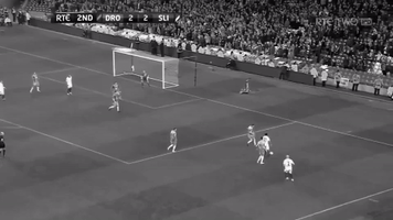 Sligo Rovers Joy GIF