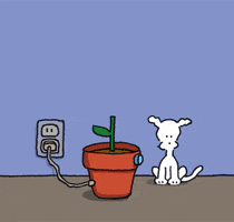 i love you flowers GIF by Chippy the dog