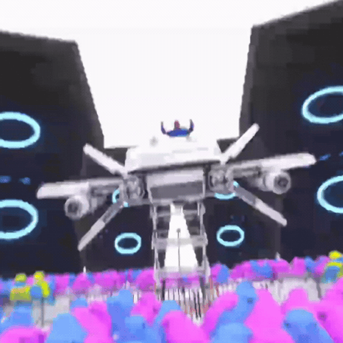 Concert GIF