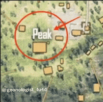 Peak GIF