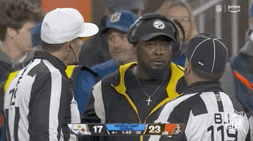 Confused Pittsburgh Steelers GIF by NFL