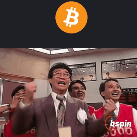 Bitcoin Crypto Meme GIF by Bspin