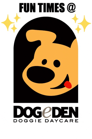 Dogeden GIF