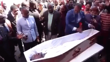 GIF by alanbrant1