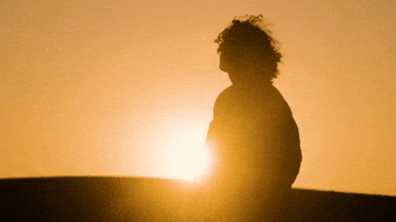 Music Video GIF by Porter Bliquez