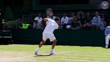 Tennis Funny GIFs - Get the best GIF on GIPHY