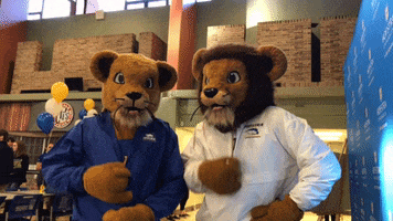lions bundle up GIF by Hofstra University
