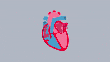 heart failure GIF by British Heart Foundation