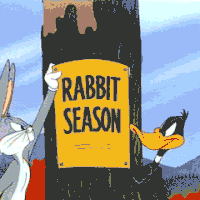 season rabbit GIF