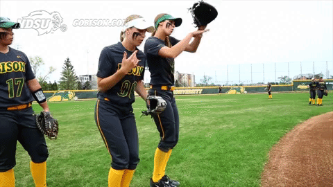 softballers meaning, definitions, synonyms
