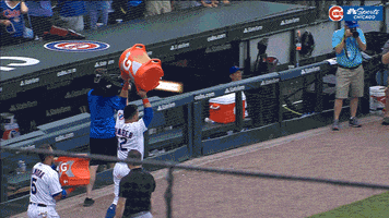 Chicago Cubs Win GIF by NBC Sports Chicago