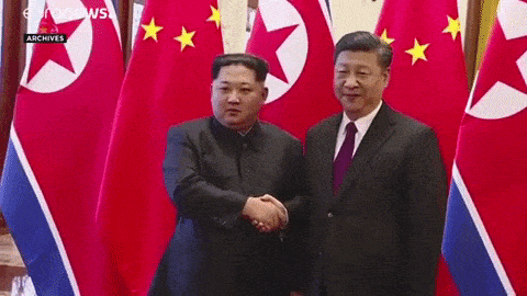 Giphy - China GIF by euronews