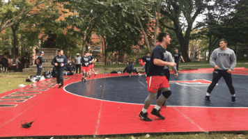 pennquakers pennwrestling GIF by Penn Athletics