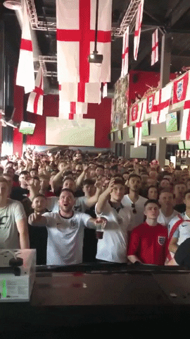World Cup Fans GIF by nss sports - Find & Share on GIPHY