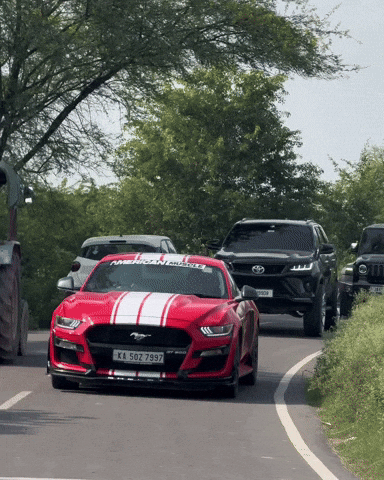 Red Mustang GIF