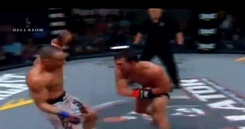 mixed martial arts