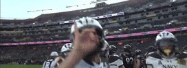 Celebration Hype GIF