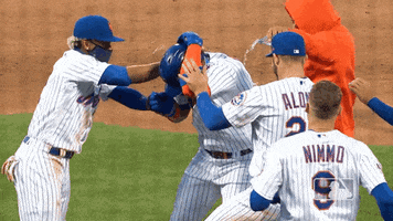 Happy Walk-Off GIF by New York Mets