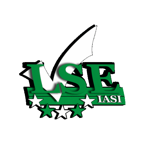 Liga Studenților Economiști Iași Sticker