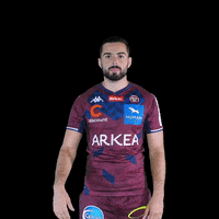 Celebration Hello GIF by UBB Rugby
