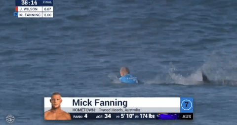 mick fanning