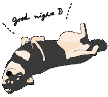 Shiba Mameshiba Sticker