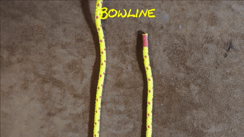 Knot Bowline GIF