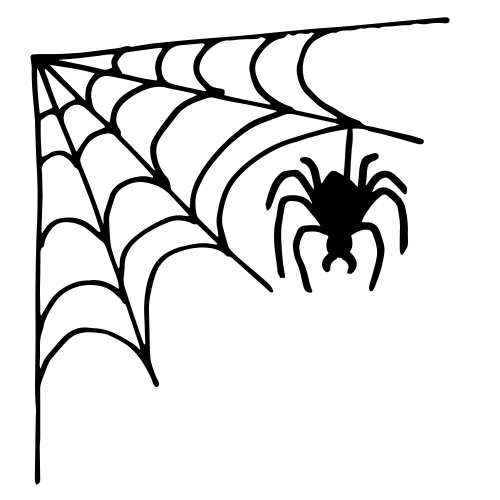 Spider Web Halloween Sticker by jdsports