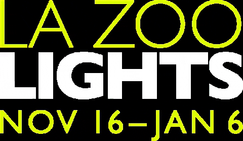 La-zoo-lights GIFs - Get the best GIF on GIPHY