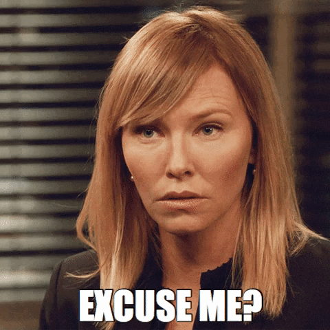 Excuse Me Reaction GIF by Law & Order