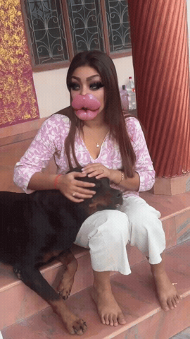 Dog Face GIF