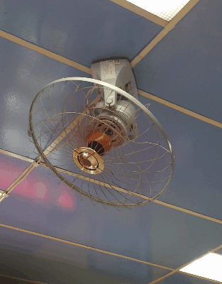 Https Encrypted Tbn0 Gstatic Com Images Q Tbn 3aand9gcruvw W52vn7mqlzu66rsomlclvgcc1jtz8gg1szj1r2 Fnt 6t