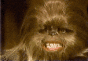 200_s.gif