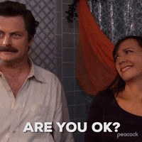 Are You Okay Season 4 GIF by Parks and Recreation