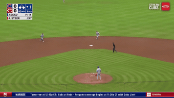 Chicago Cubs Baseball GIF