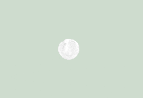 GIF by Studio Erika