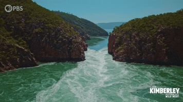 Horizontal Falls Water GIF by PBS