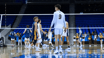 Uc Irvine Celebration GIF by UCI Athletics