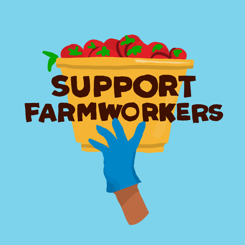 Digital art gif. Blue gloved hand holds up an orange basket filled to the brim with ripe tomatoes. Brown text is displayed across the basket, reading, "Support Farmworkers."